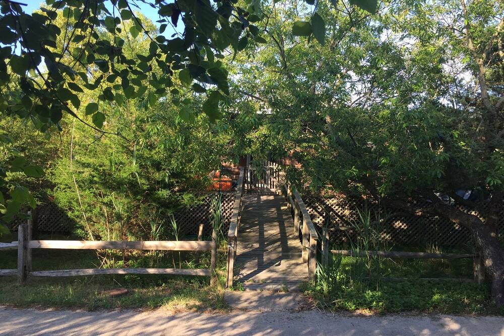 Photo of Outdoor in Lonelyville