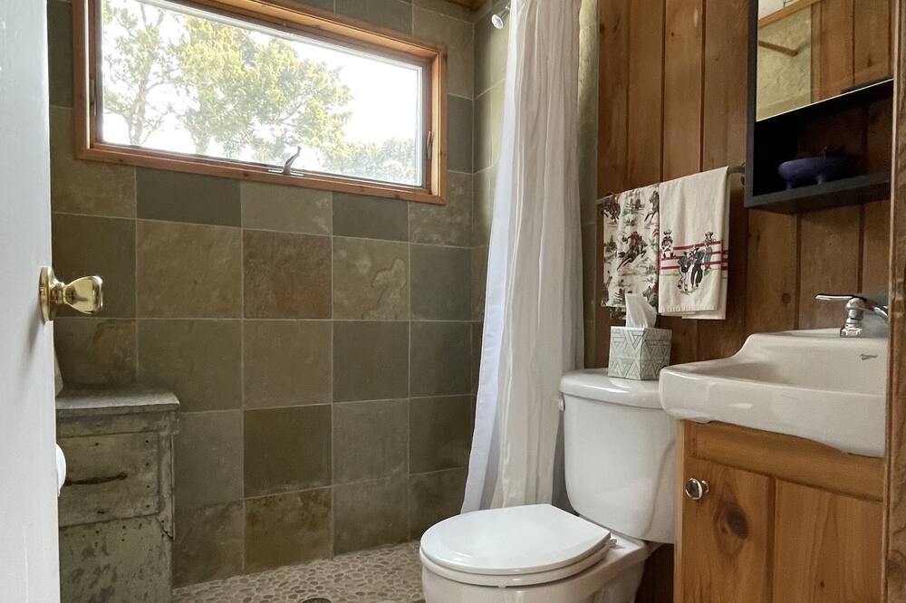 Photo of Bathroom in Lonelyville
