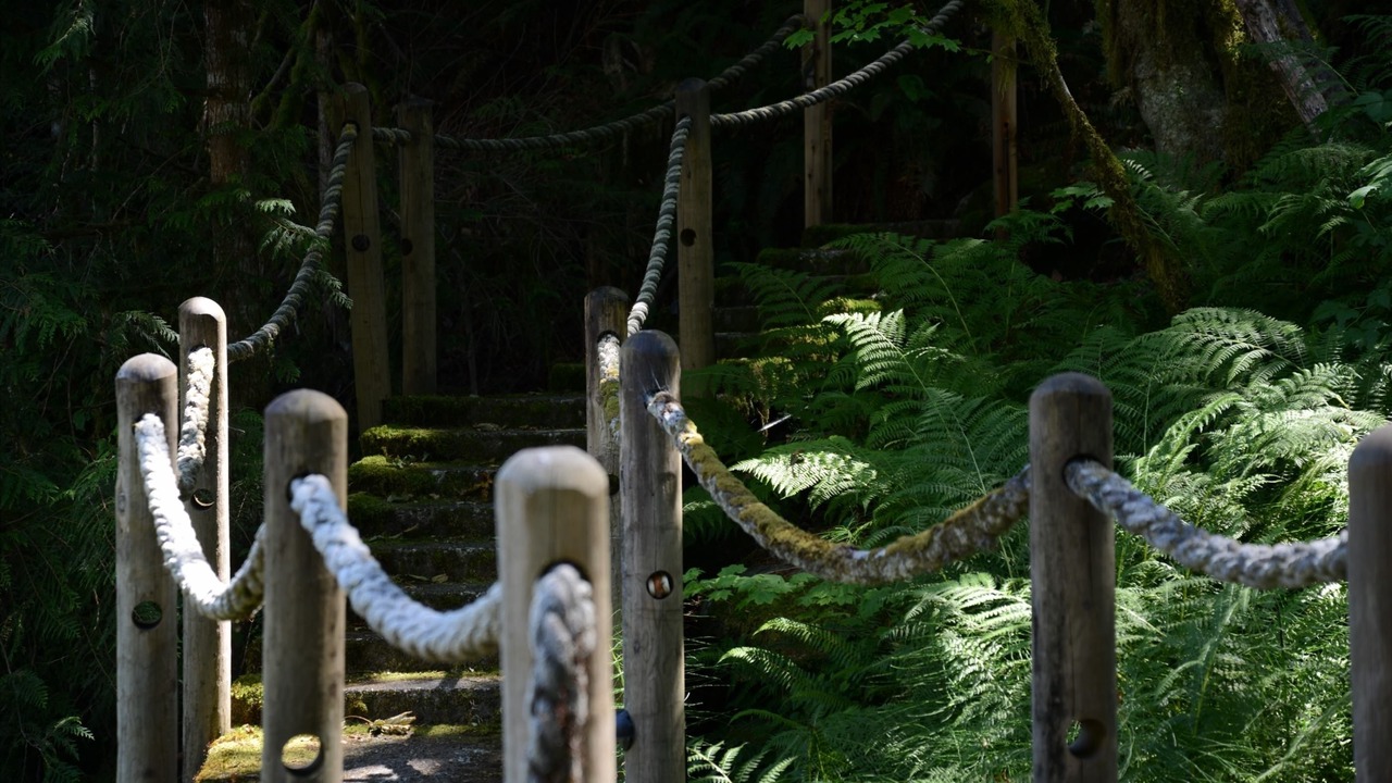 Photo of Outdoor in Washington