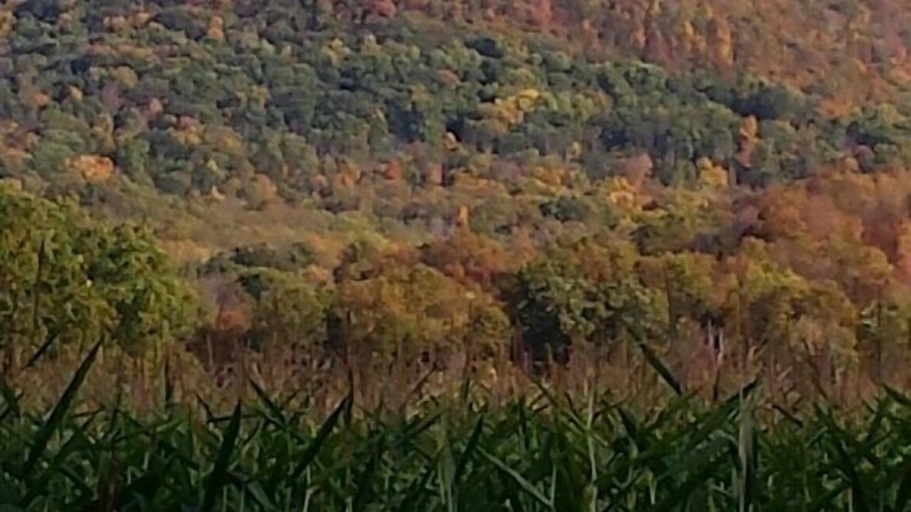 Photo of Outdoor in Monroe
