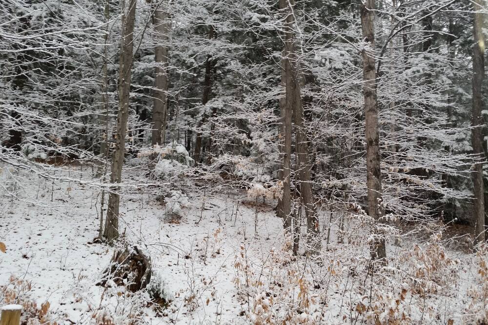 Photo of Outdoor in Alexandria
