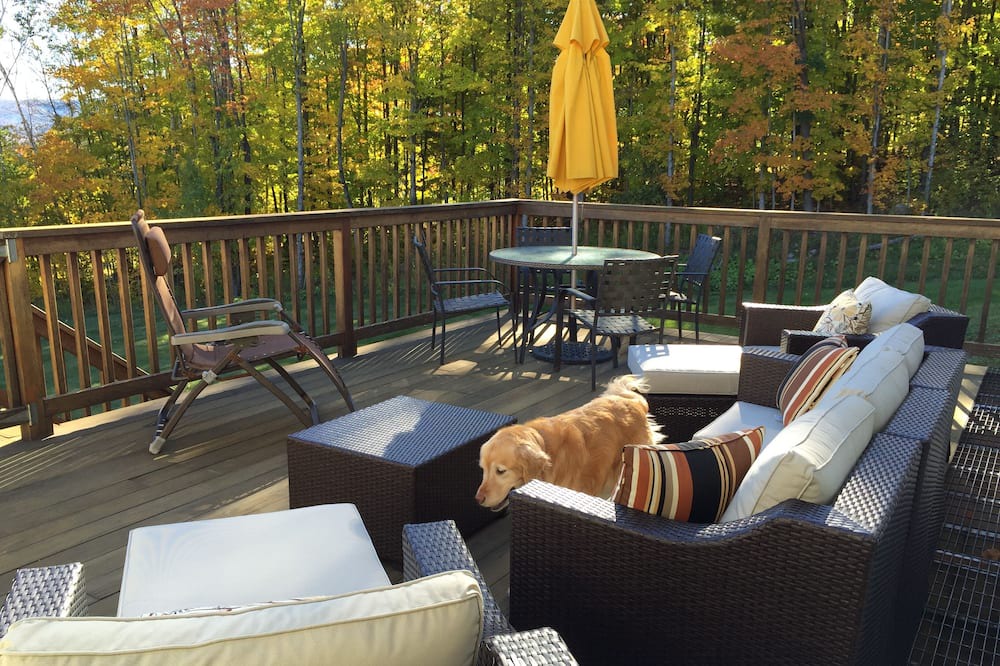 Photo of Patio Balcony in East Dorset