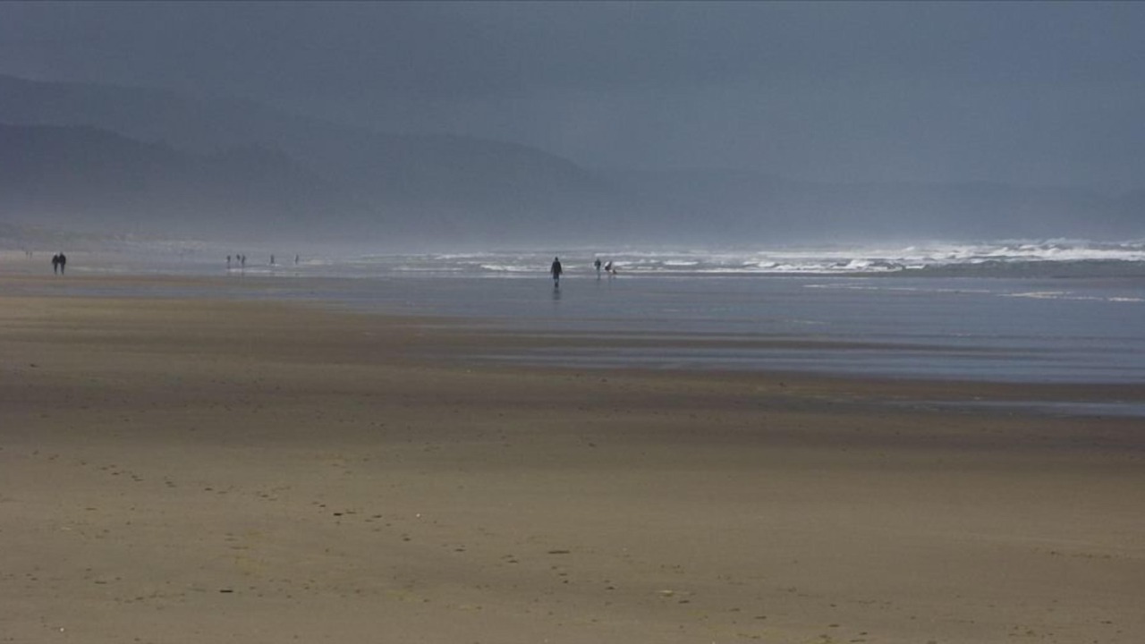 Photo of Others in Manzanita