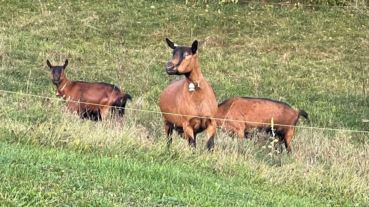 Photo of Outdoor in East Montpelier