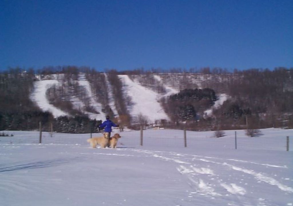 Photo of Others in Cazenovia