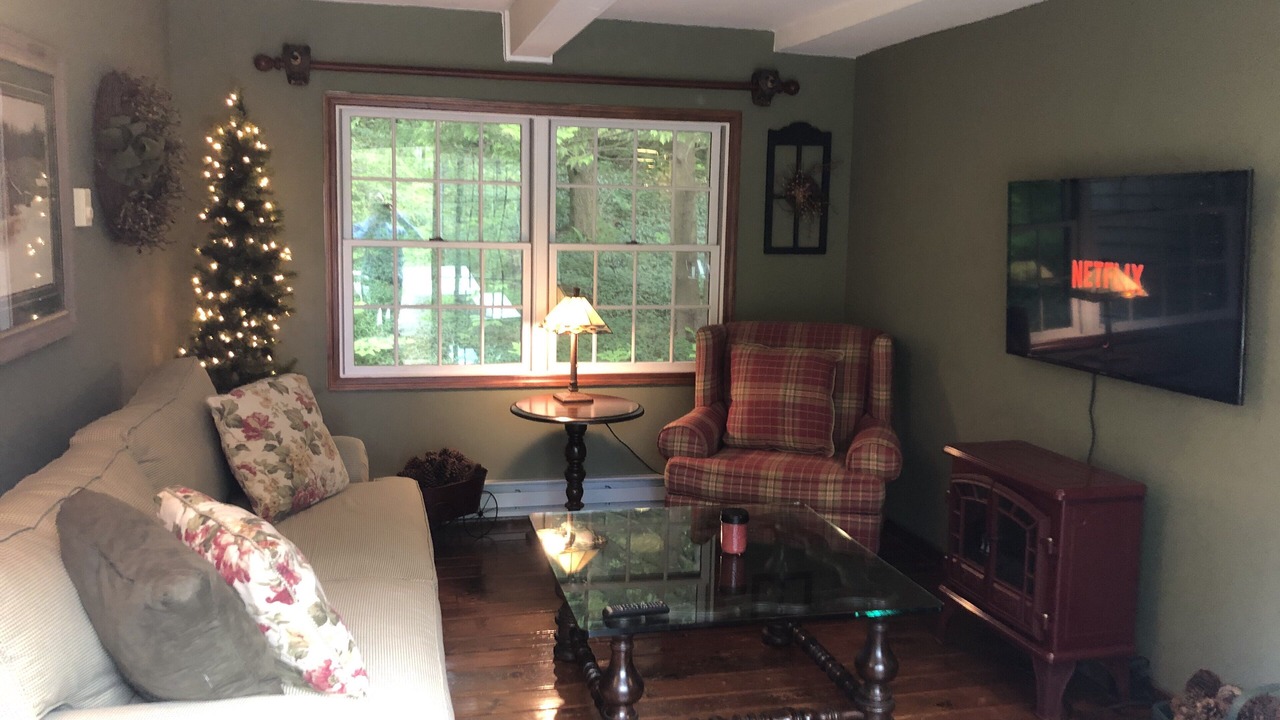 Photo of Livingroom in Bolton Landing