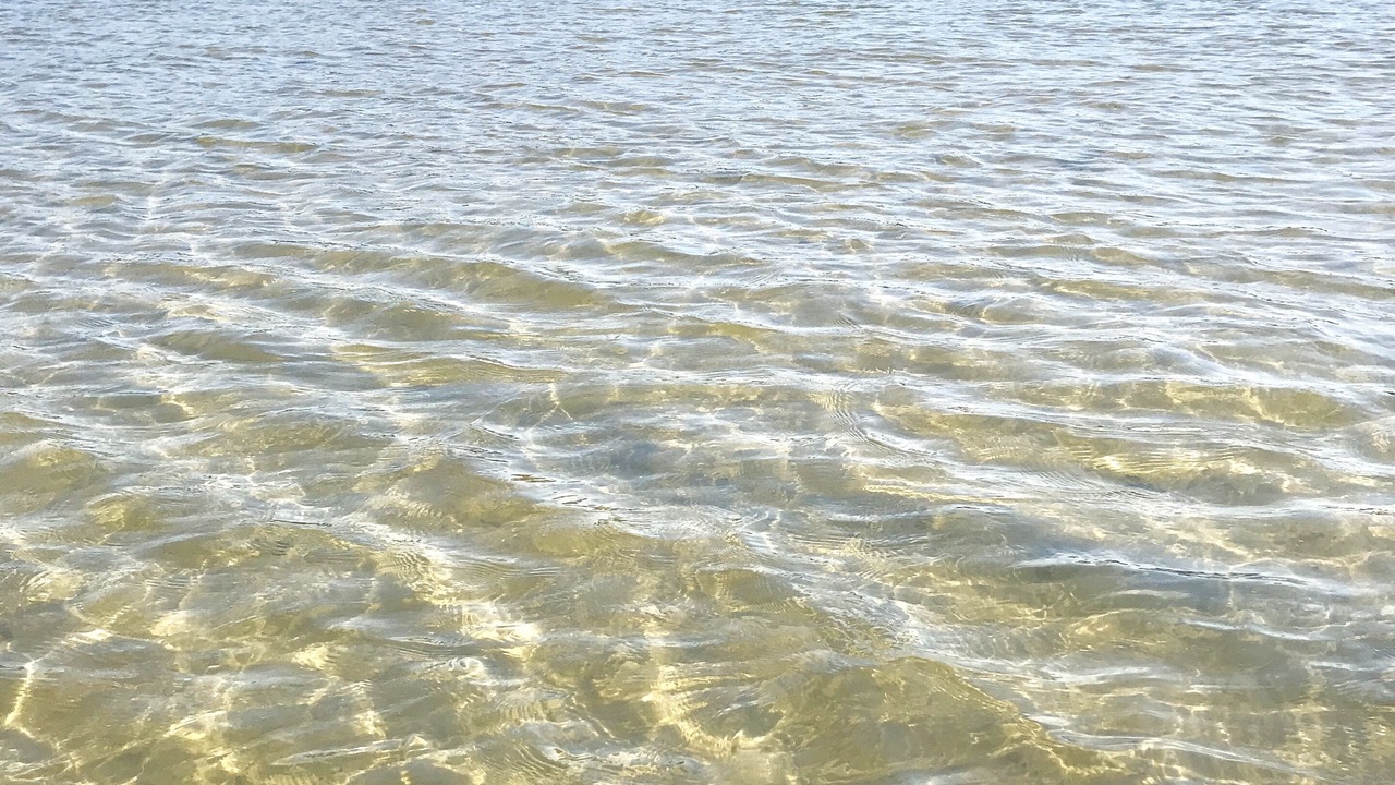 Photo of Others in Southold