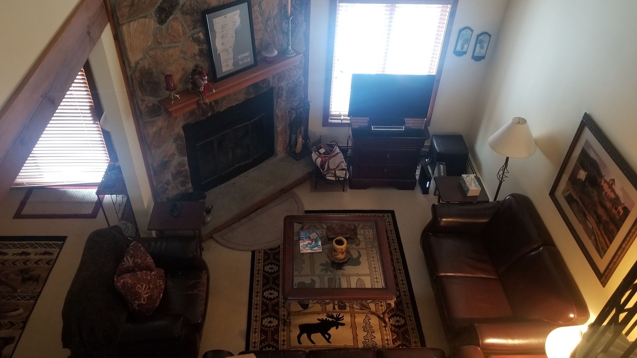 Photo of Livingroom in Bromley Mountain