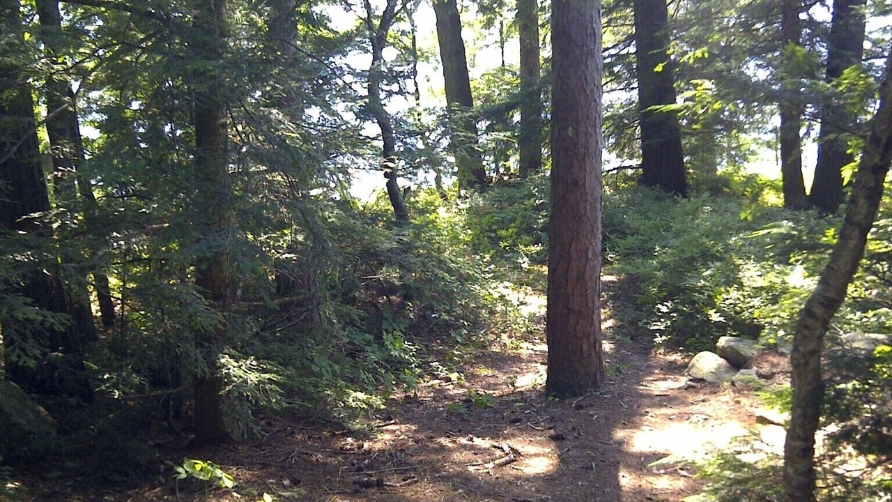Photo of Outdoor in Tuftonboro