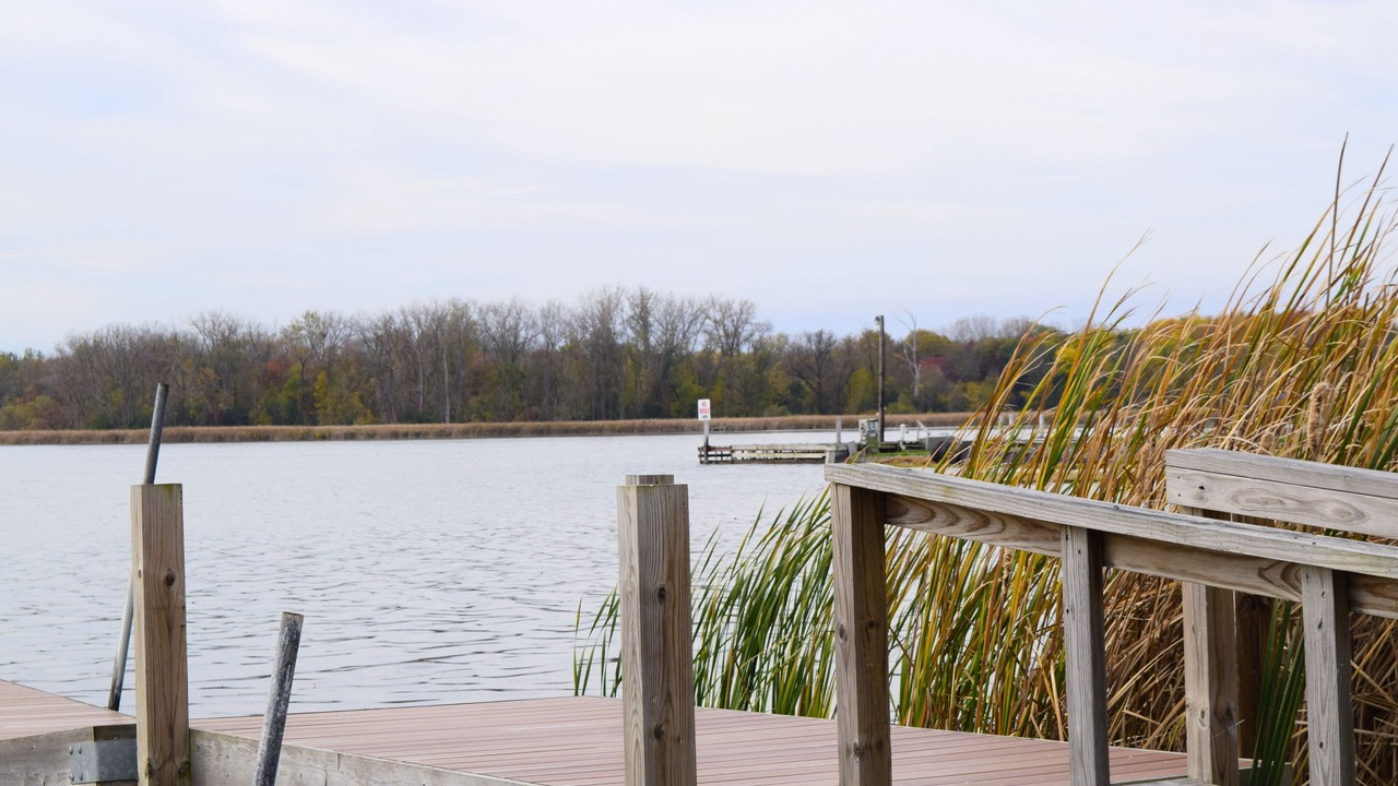 Photo of Others in Cayuga