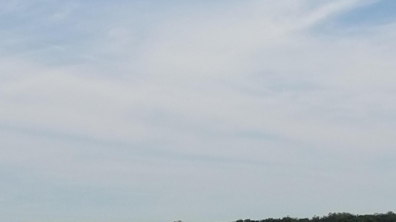Photo of Others in Cayuga