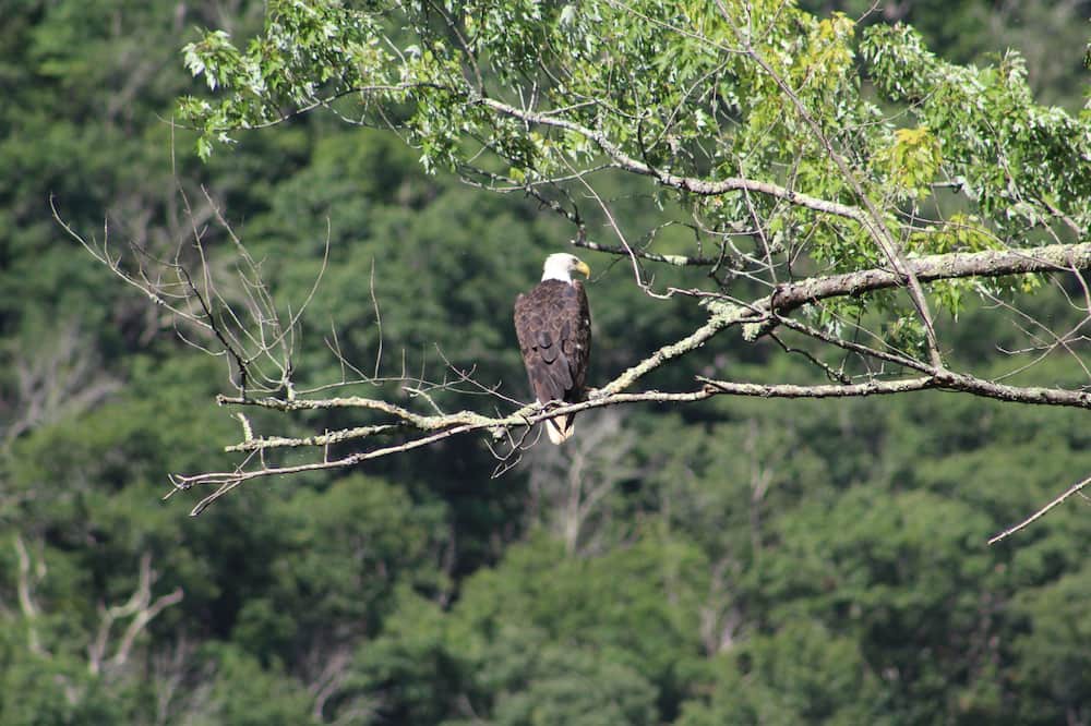 Photo of Outdoor in Bellepoint