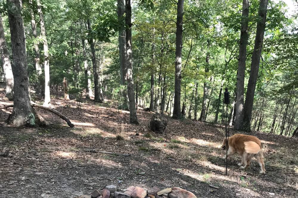 Photo of Outdoor in Kirby