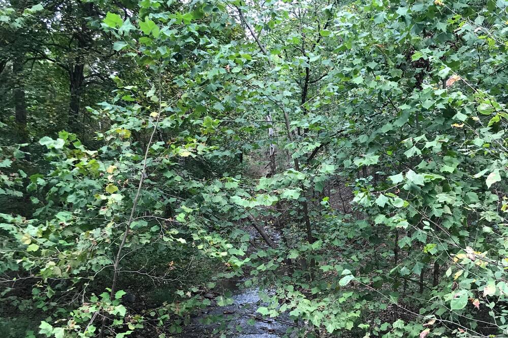 Photo of Outdoor in Kirby