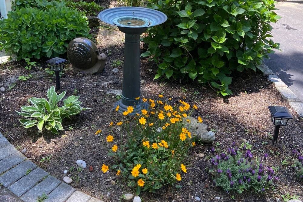 Photo of Outdoor in Mattituck