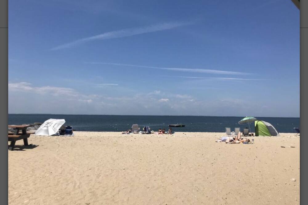 Photo of Others in Clearwater Beach