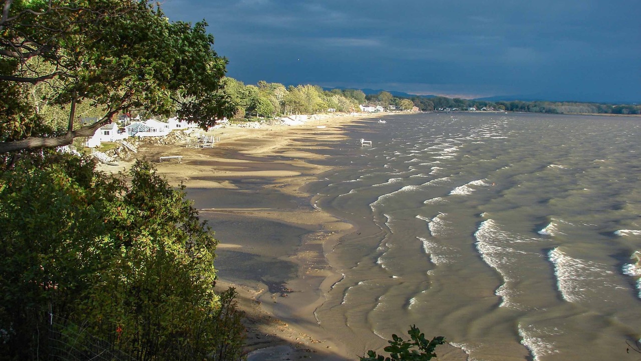 Photo of Others in Malletts Bay