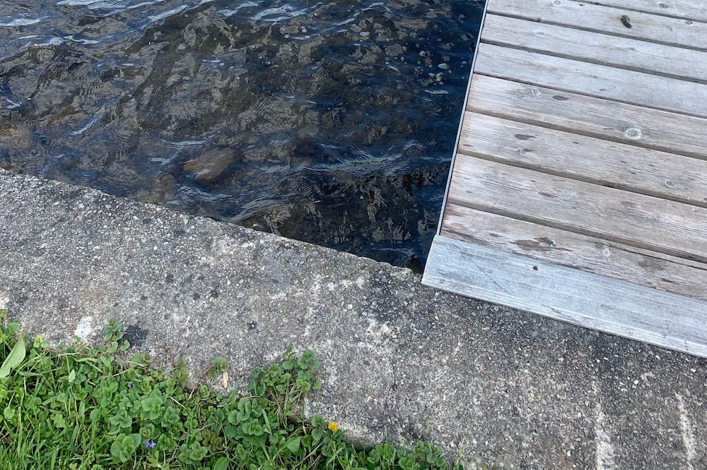 Photo of Others in Honeoye