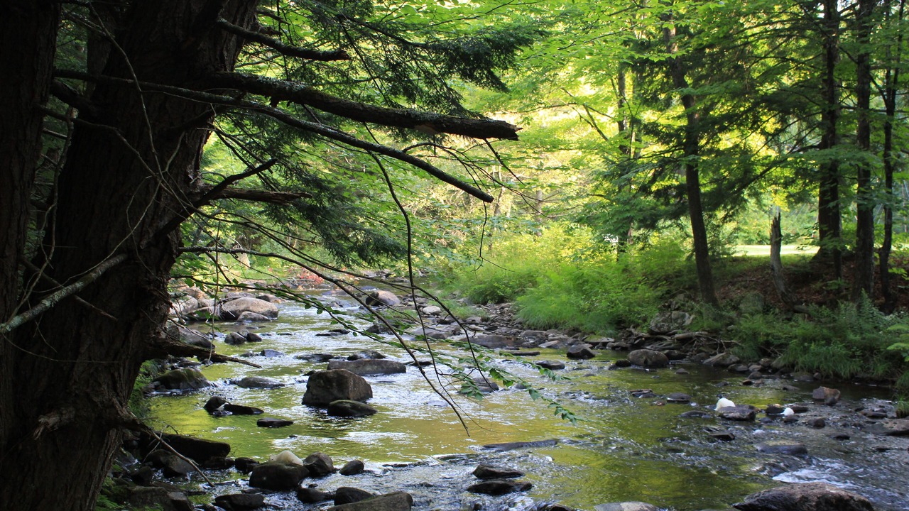 Photo of Outdoor in Canaan
