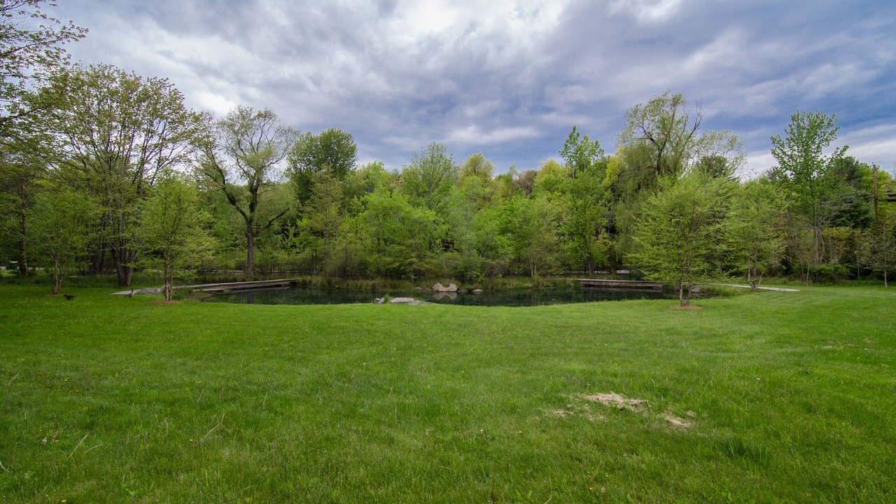 Photo of Outdoor in Mount Marion