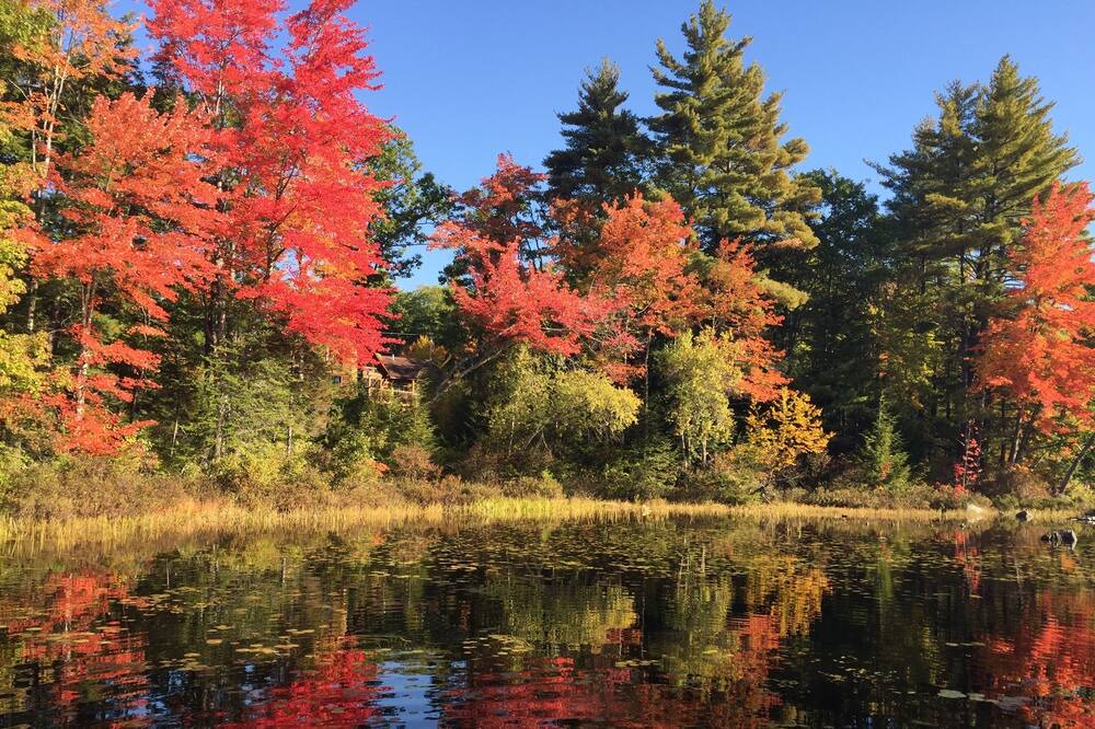 Photo of Outdoor in Center Conway