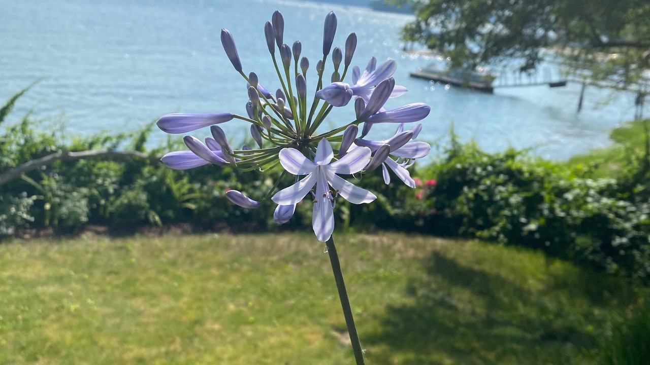 Photo of Outdoor in Dover