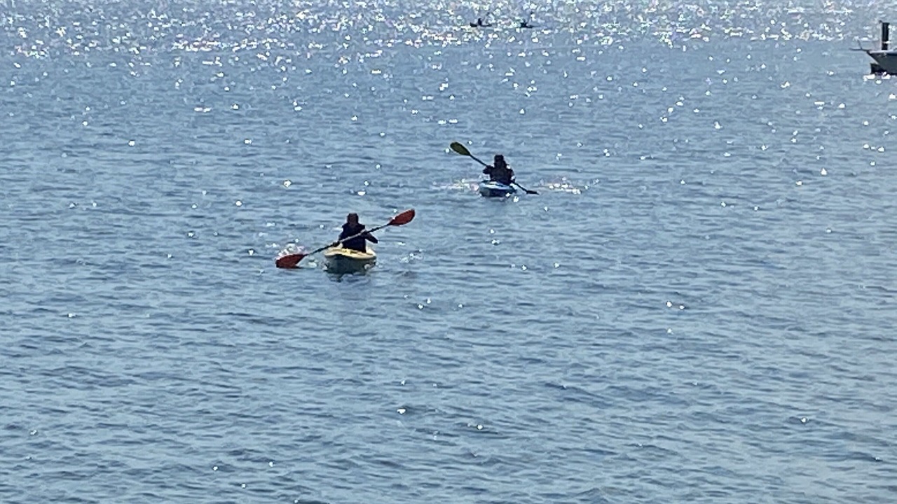 Photo of Others in Dover