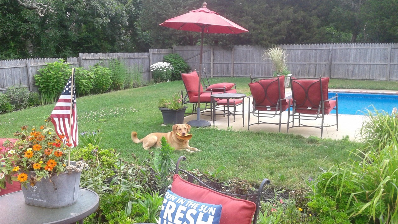Photo of Outdoor in Hampton Bays