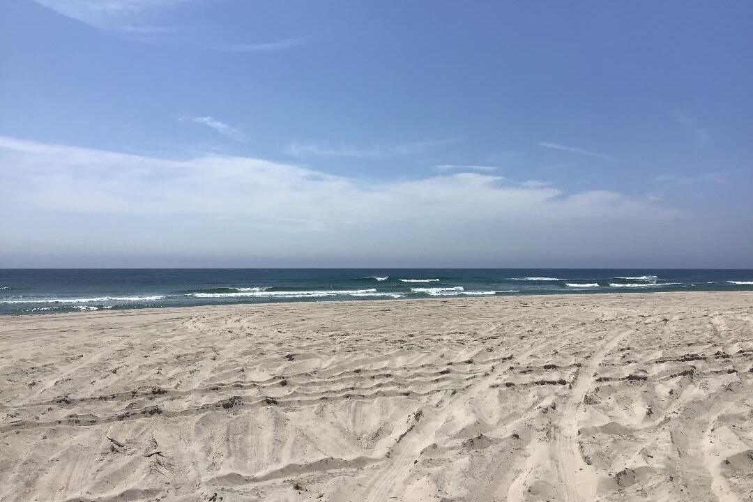 Photo of Outdoor in Hampton Bays