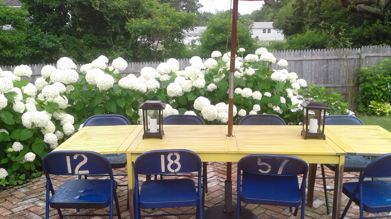 Photo of Outdoor in Hampton Bays