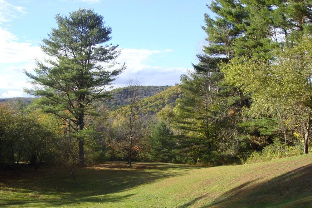 Photo of Others in Woodstock