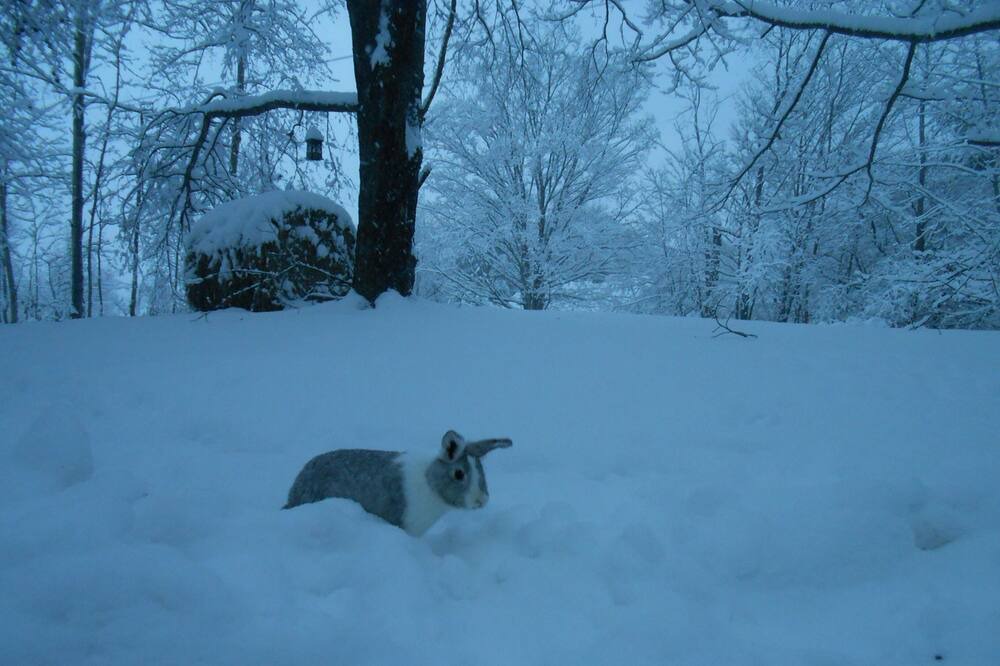 Photo of Others in South Kortright