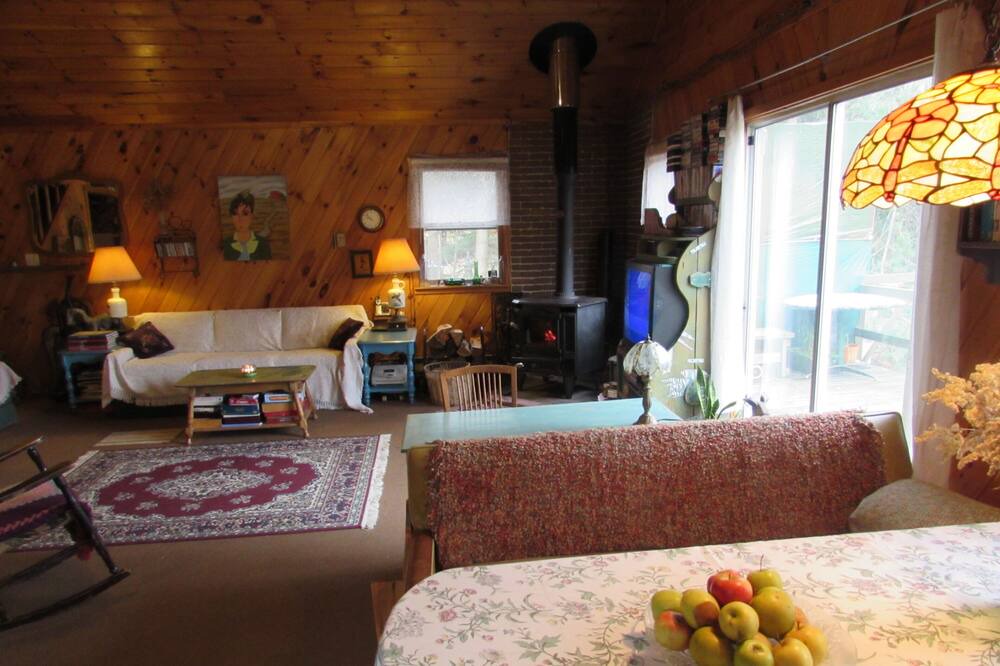 Photo of Livingroom in South Kortright