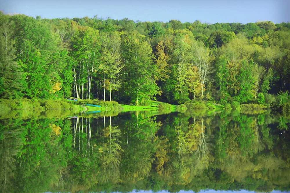 Photo of Outdoor in South Kortright