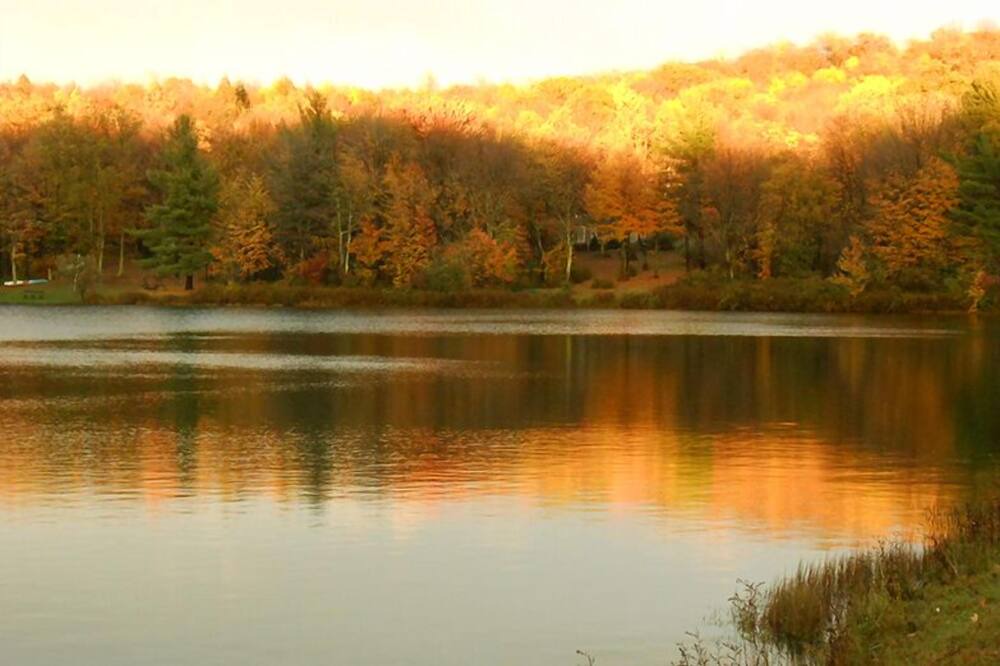 Photo of Outdoor in South Kortright