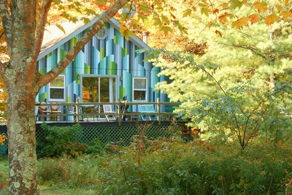 Photo of Outdoor in South Kortright