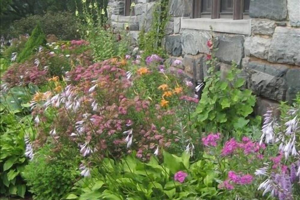 Photo of Outdoor in Proctorsville
