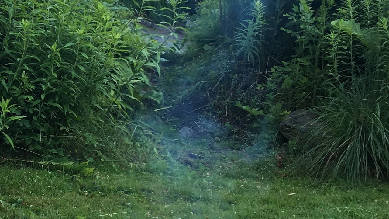 Photo of Outdoor in Cabot