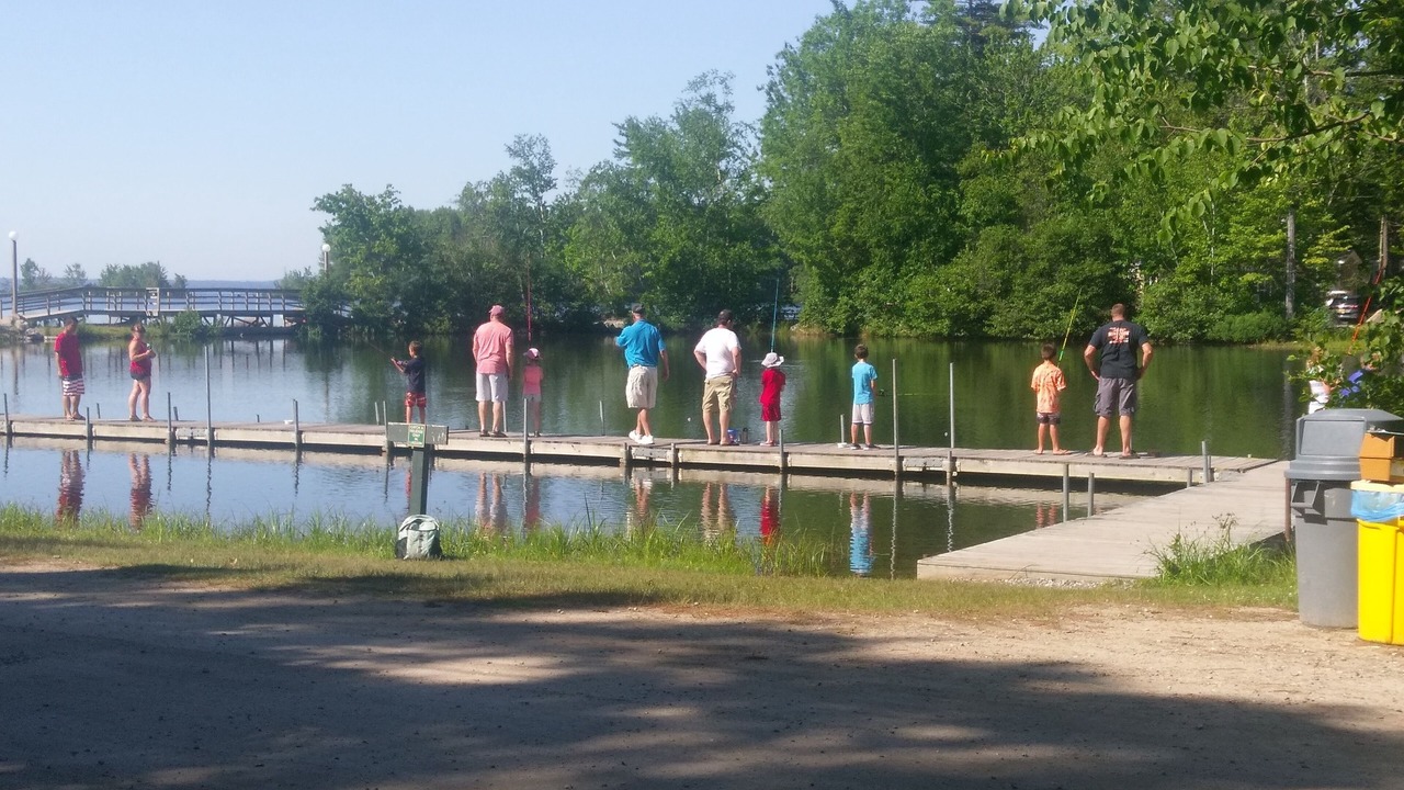 Photo of Others in South Casco