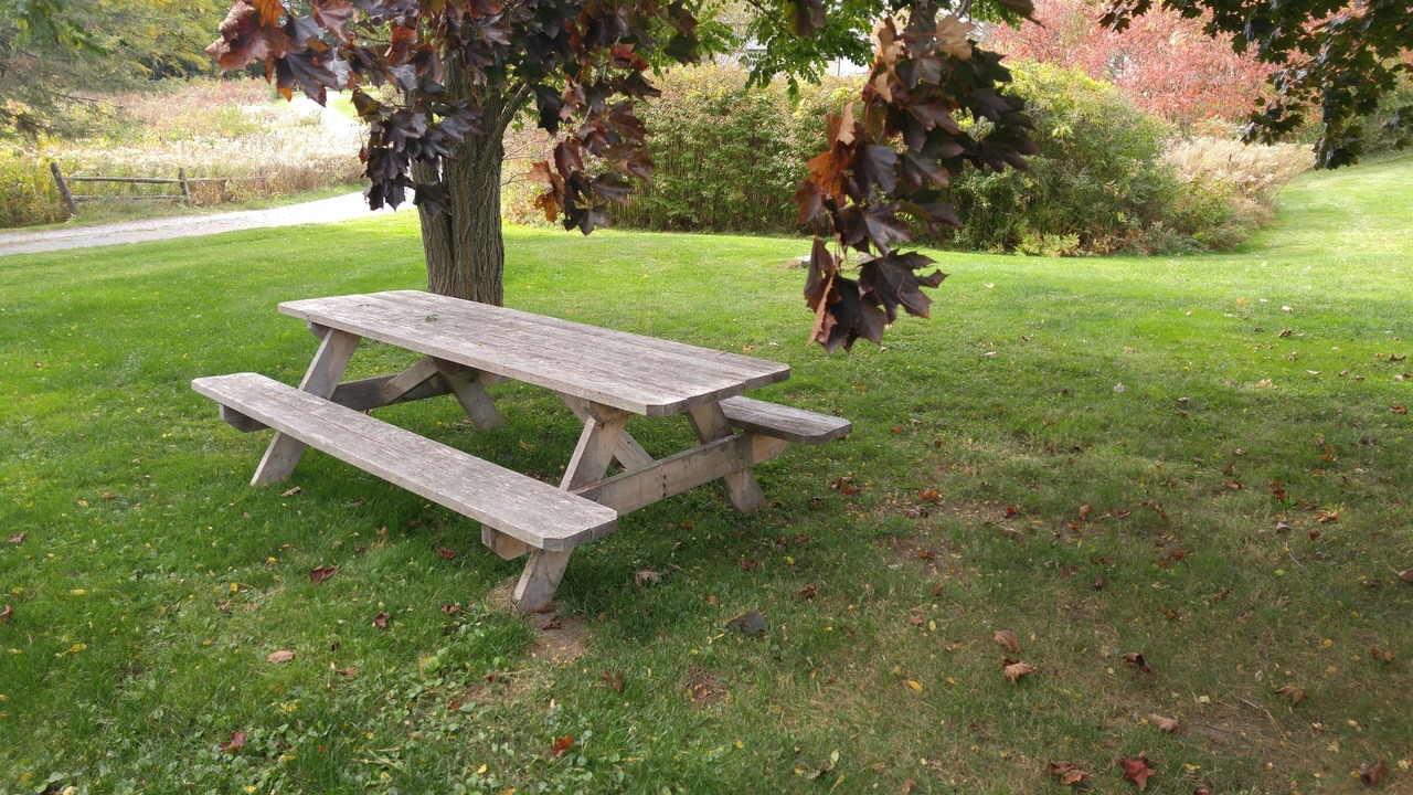 Photo of Outdoor in Brandon