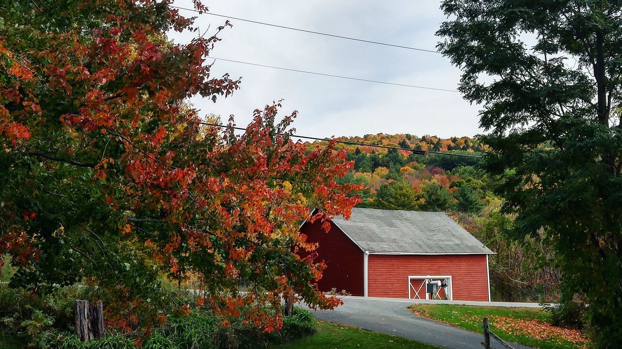 Photo of Outdoor in Brandon