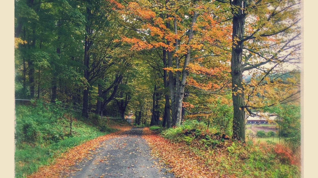 Photo of Outdoor in Woodstock