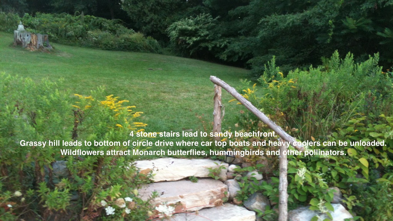 Photo of Outdoor in North Lake George