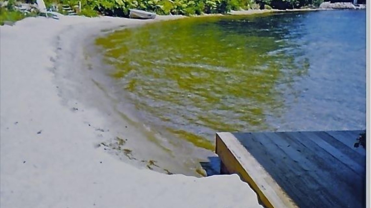 Photo of Outdoor in North Lake George