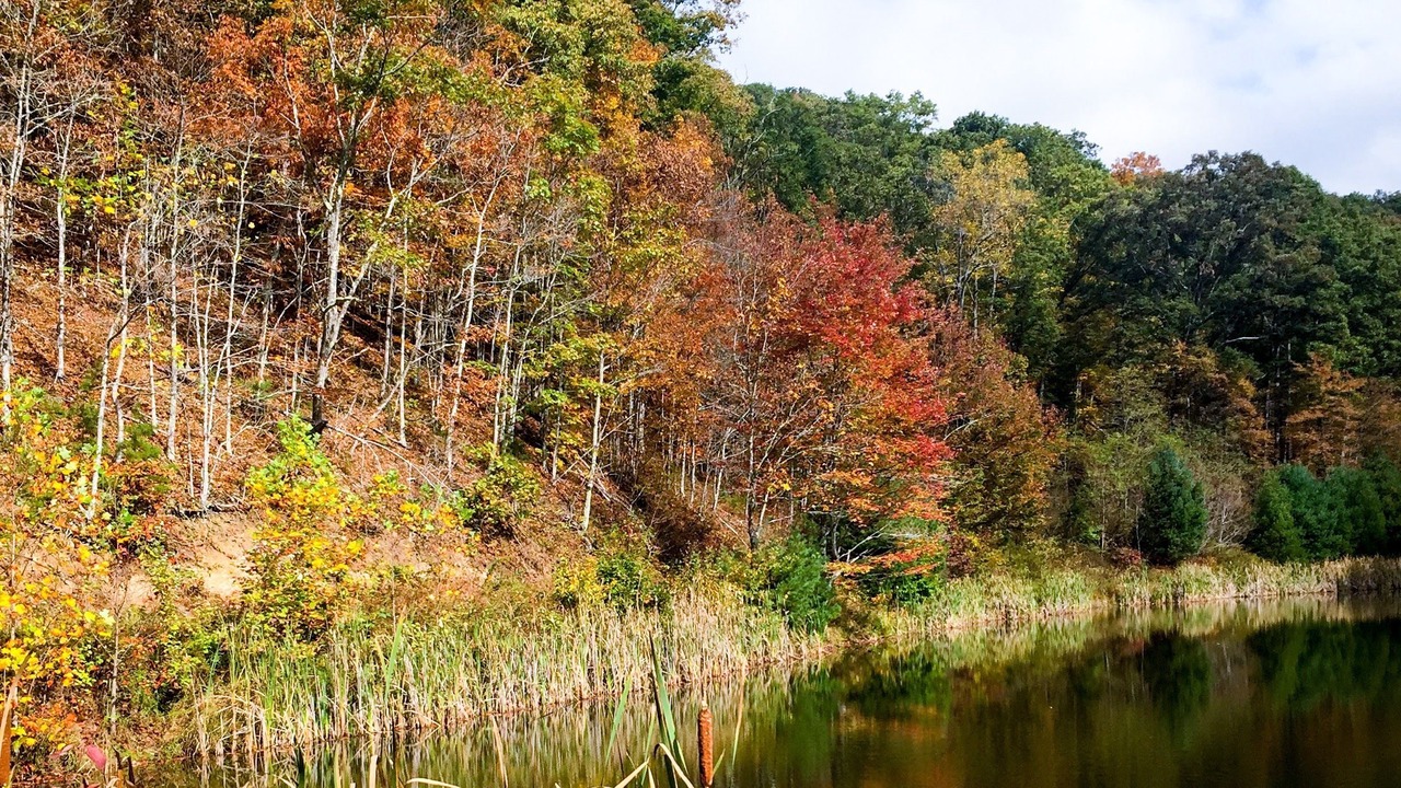 Photo of Outdoor in Hot Springs