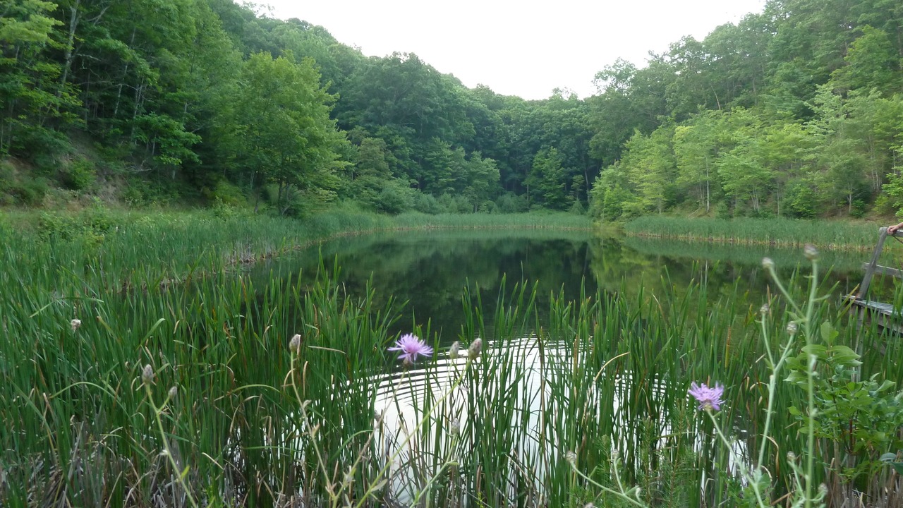 Photo of Outdoor in Hot Springs