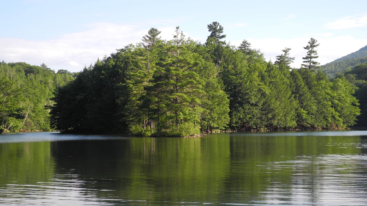 Photo of Outdoor in Danby