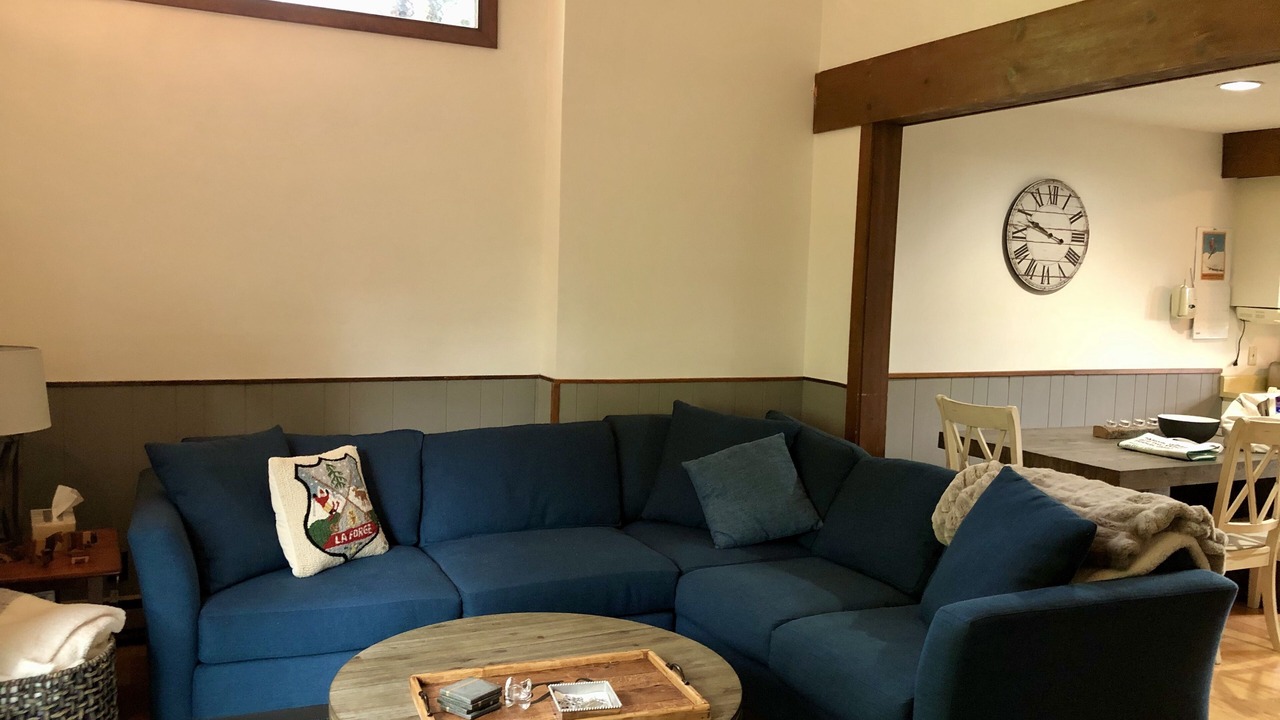 Photo of Livingroom in Bromley Mountain