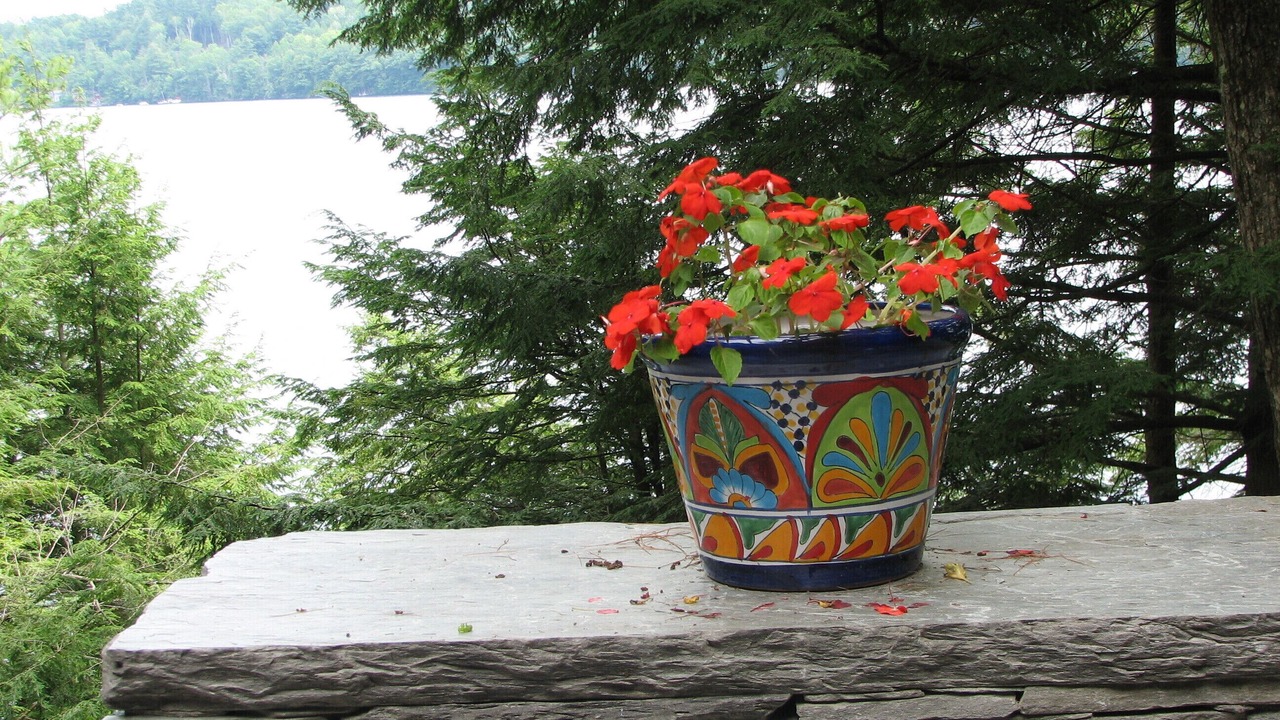 Photo of Outdoor in Fairlee