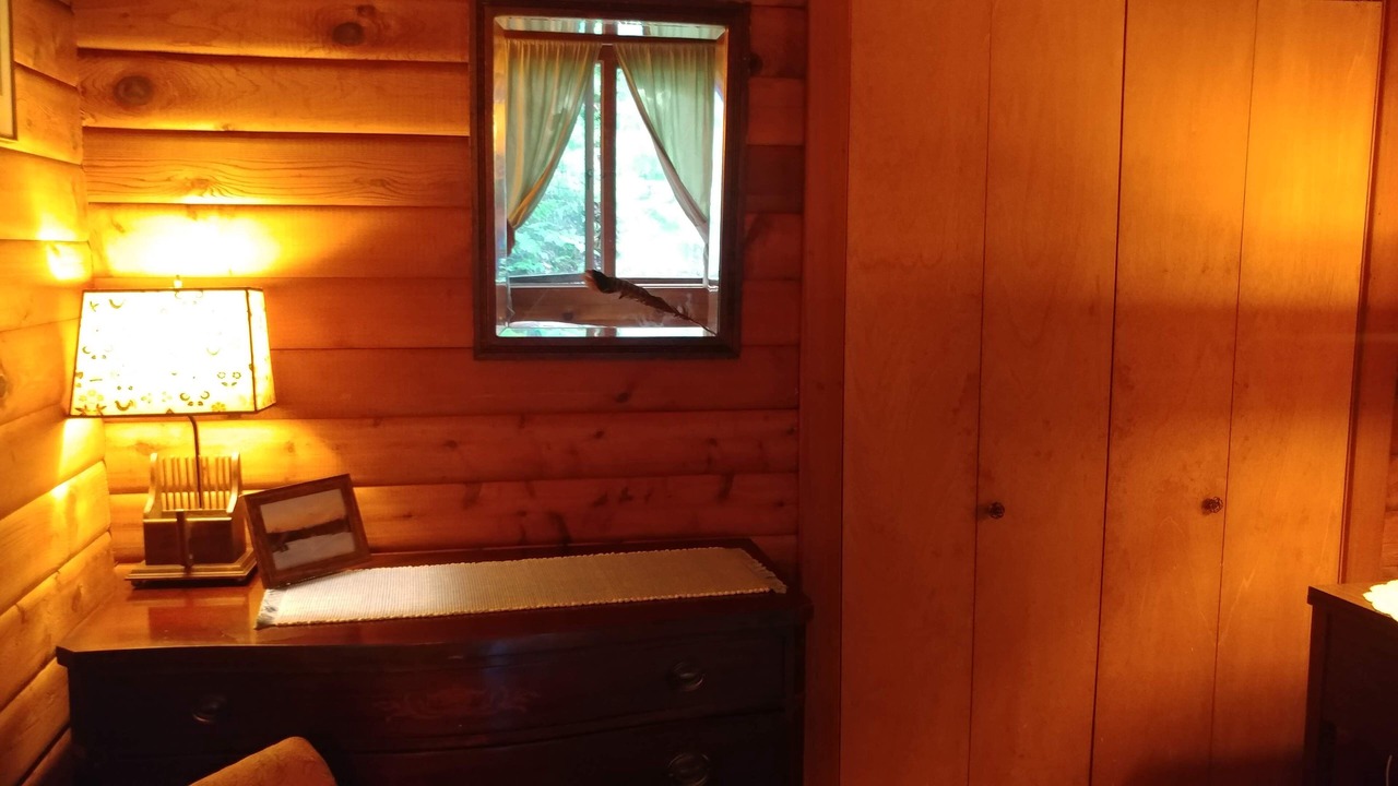 Photo of Others in Craftsbury Common